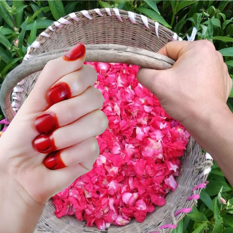 Nail Art For Men - 40 جرام مسحوق صبغ الأظافر الحناء